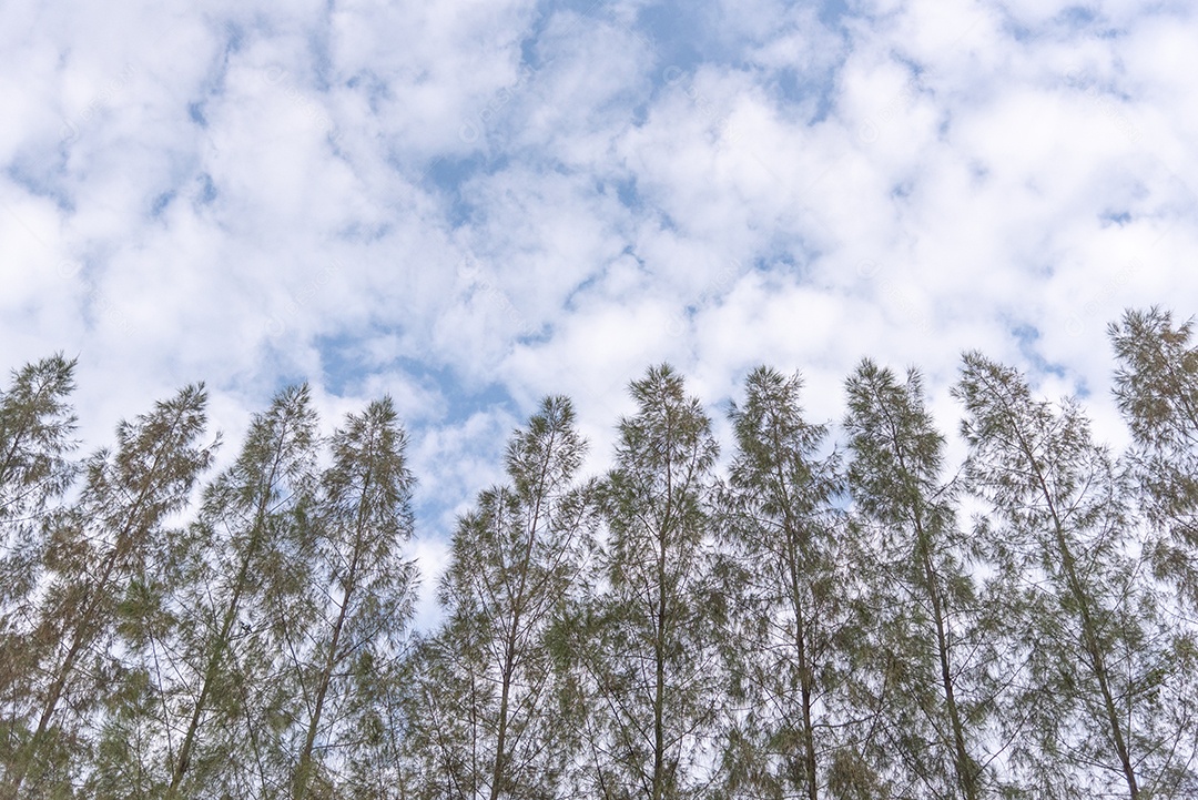 Fundo de céu azul com nuvens. Conceito de natureza e plano de fundo. Tema espaço e ar.