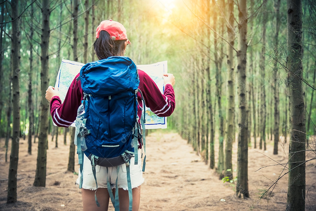 Viagem turística feminina em floresta de pinheiros caminhadas durante as férias.