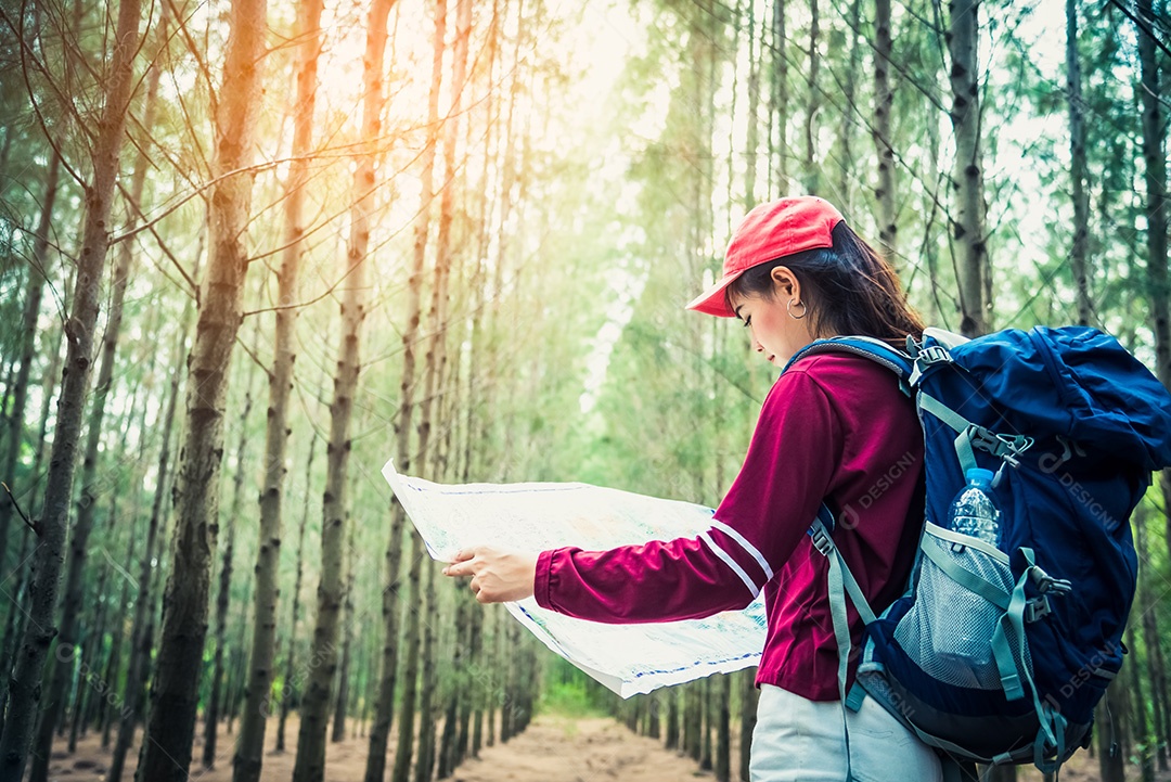 Viagem turística feminina em floresta de pinheiros caminhadas durante as férias.