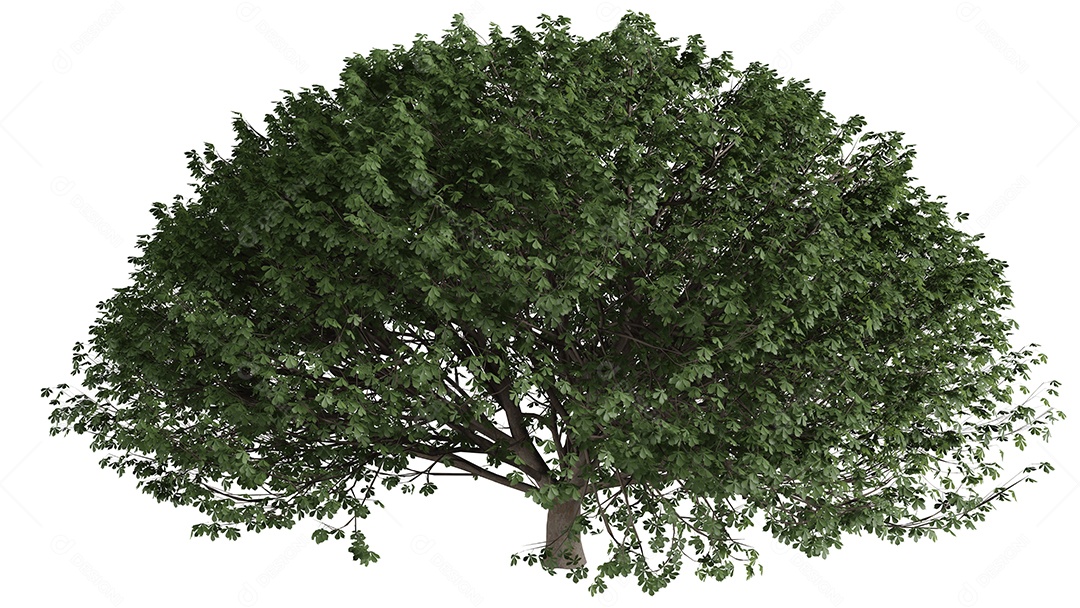 Cena de fundo de árvores 3D branca