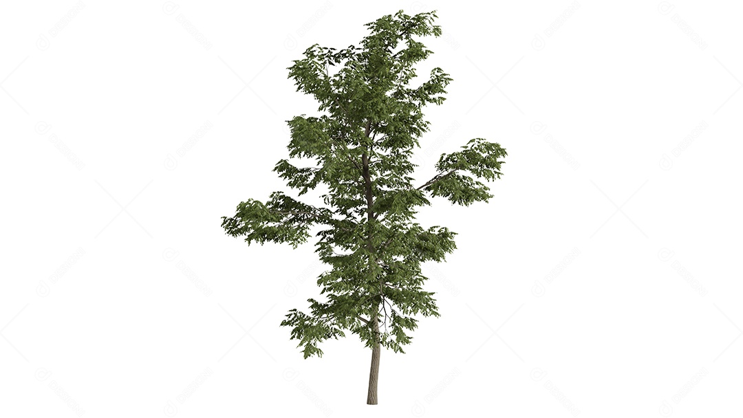 Cena de fundo de árvores 3D branca