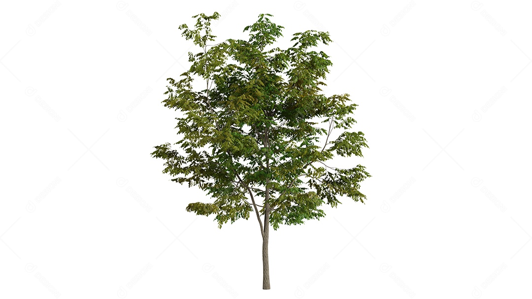 White 3D trees background scene