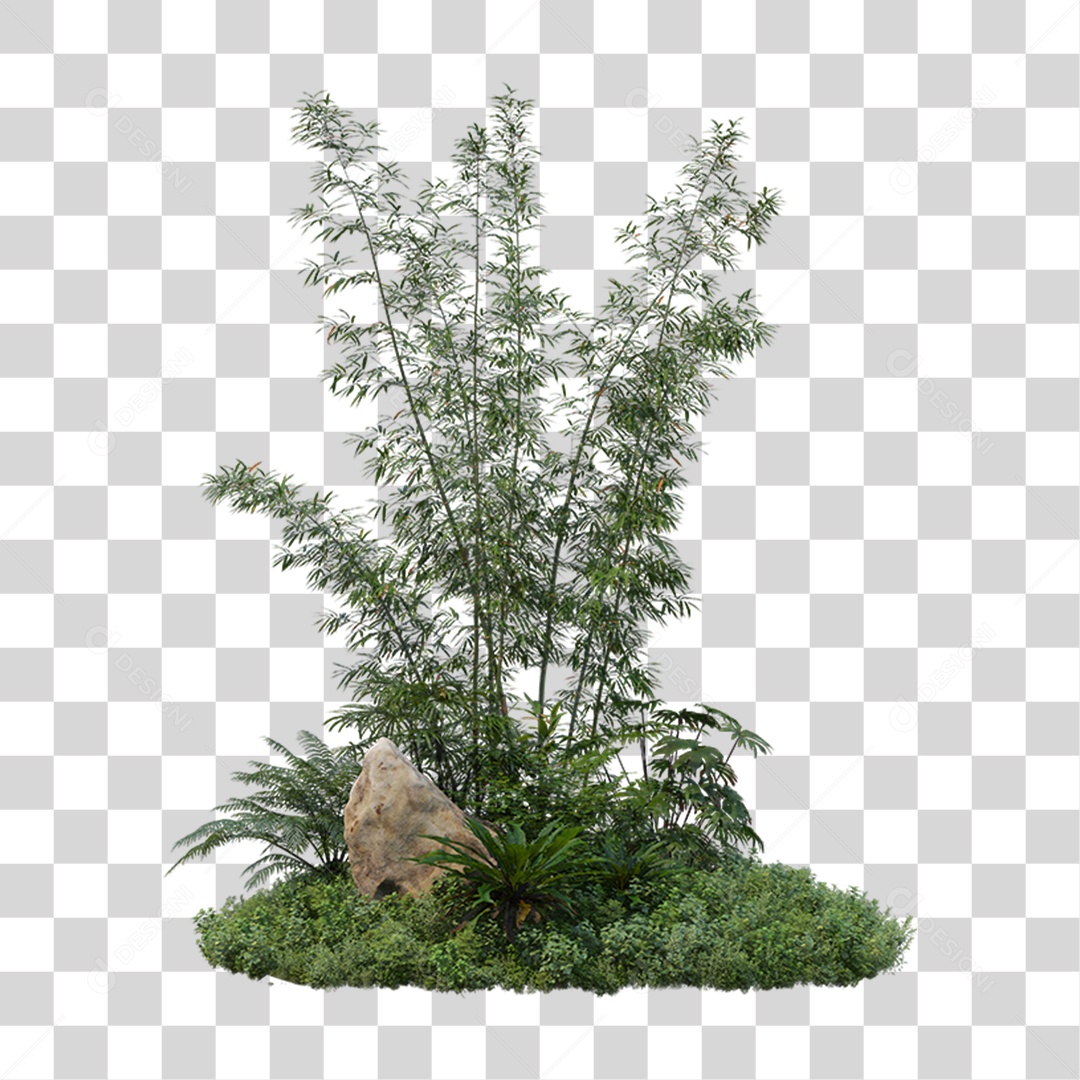 Arbusto Plantas Verdes PNG Transparente
