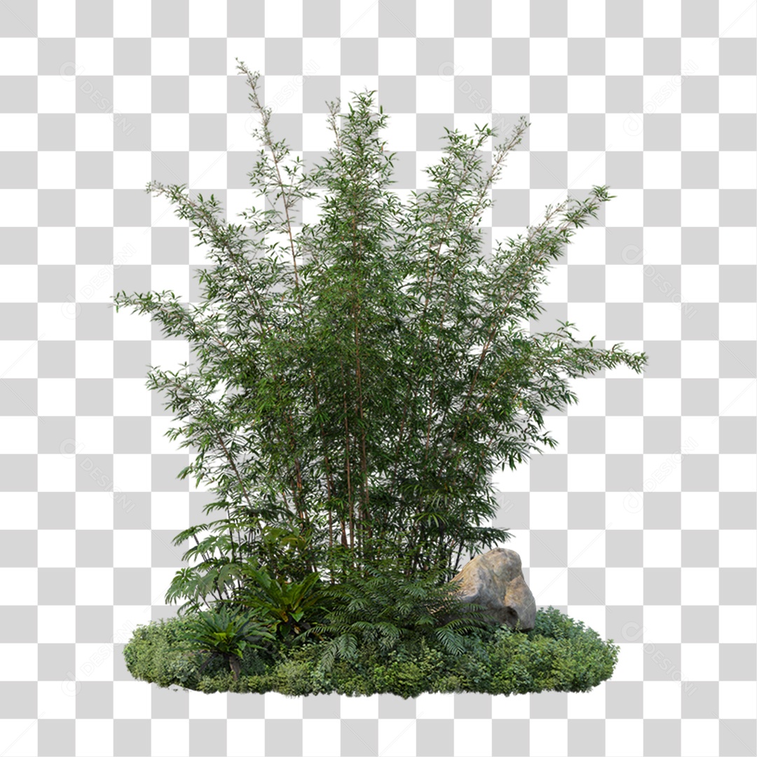 Arbusto Plantas Verdes PNG Transparente