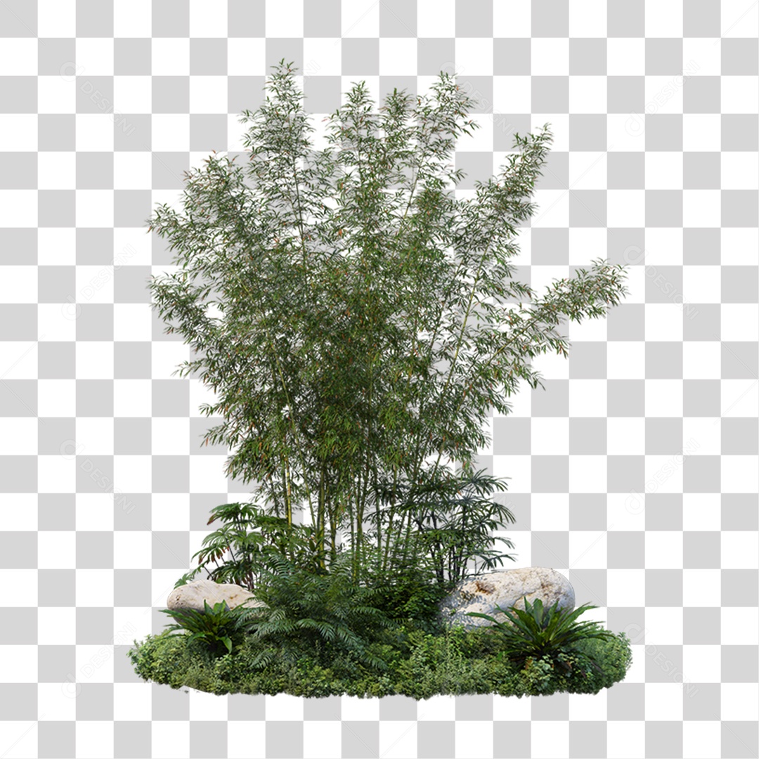 Arbusto Plantas Verdes PNG Transparente