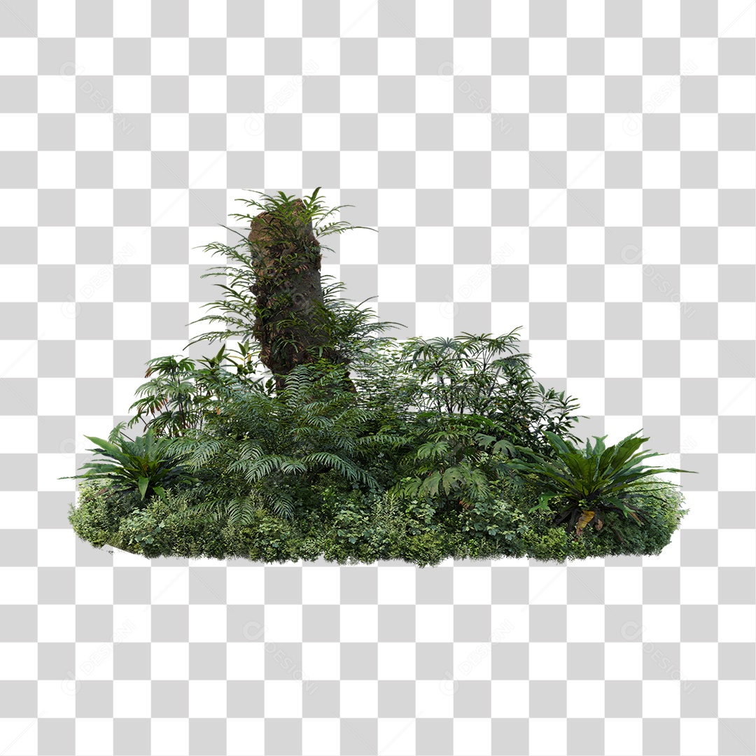 Arbusto Plantas Verdes PNG Transparente