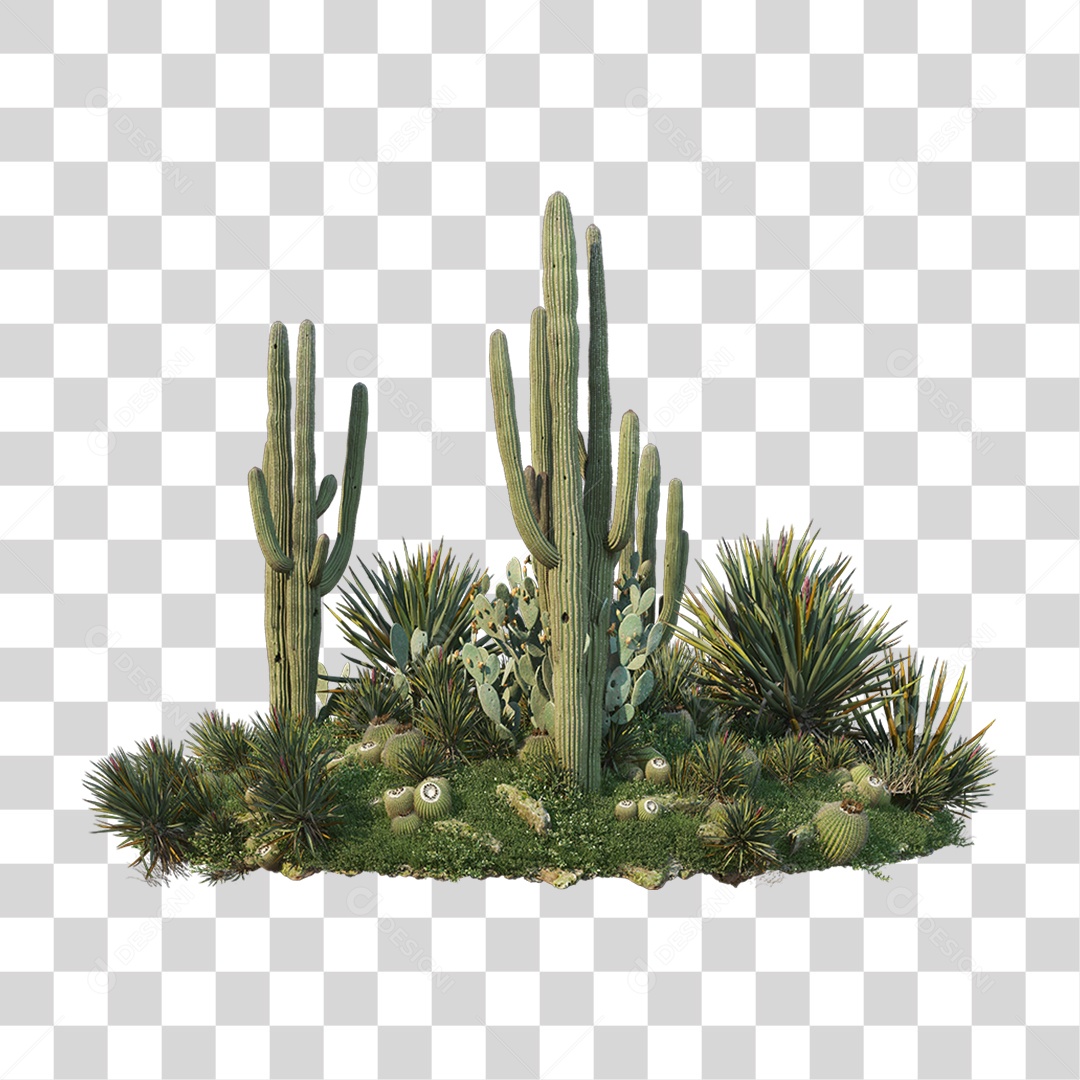 Arbusto Plantas Verdes PNG Transparente