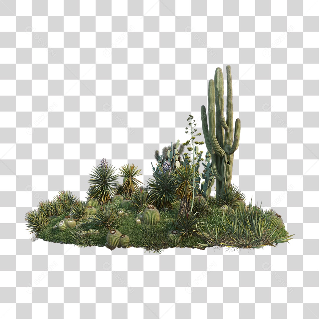 Arbusto Plantas Verdes PNG Transparente