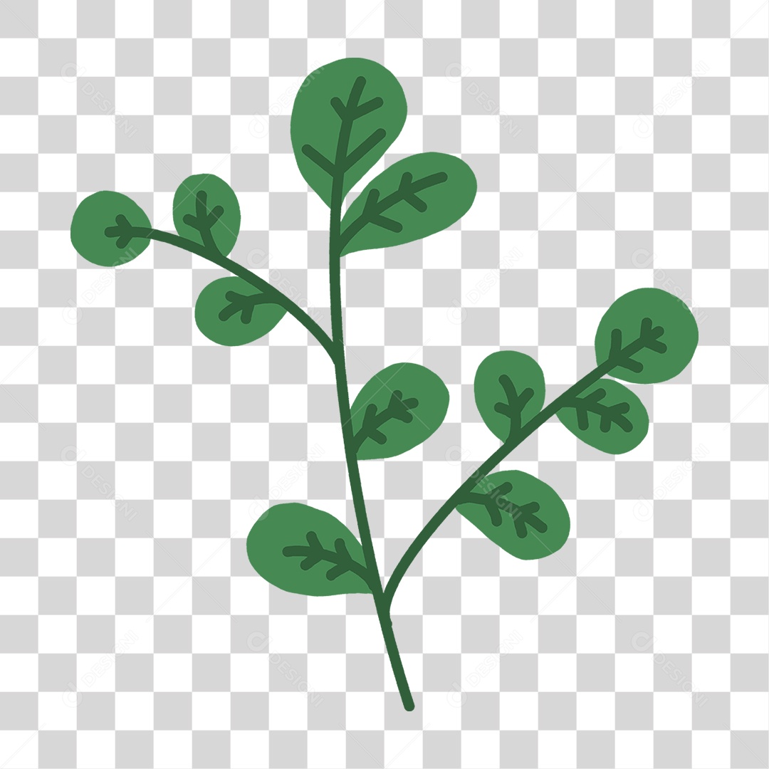 Ramo Galho com Folhas PNG Transparente