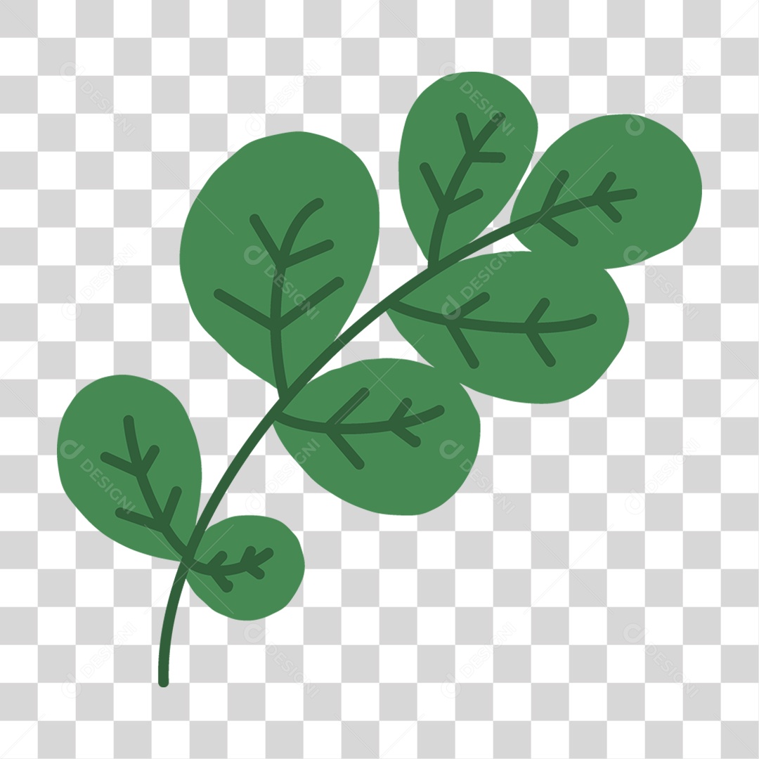 Ramo Galho com Folhas PNG Transparente