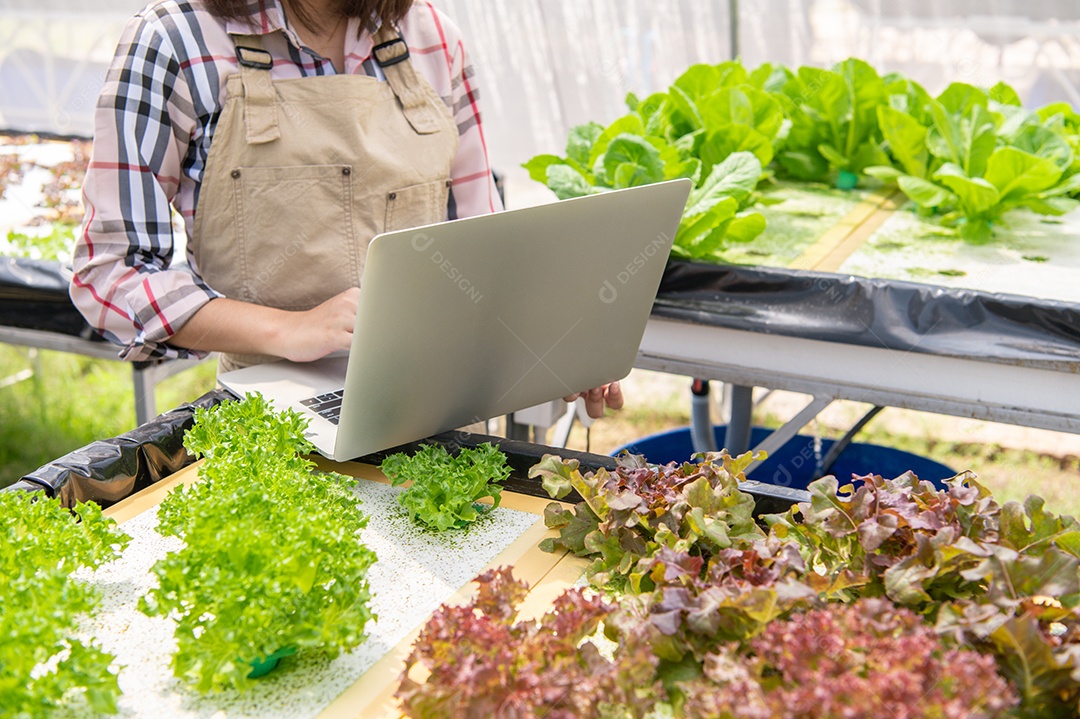 Agricultora hidropônica coletando informações de crescimento vegetal.
