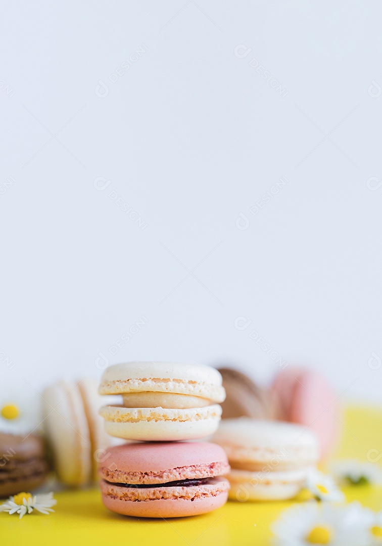 Macaroons franceses com margarida embaçada no fundo branco.