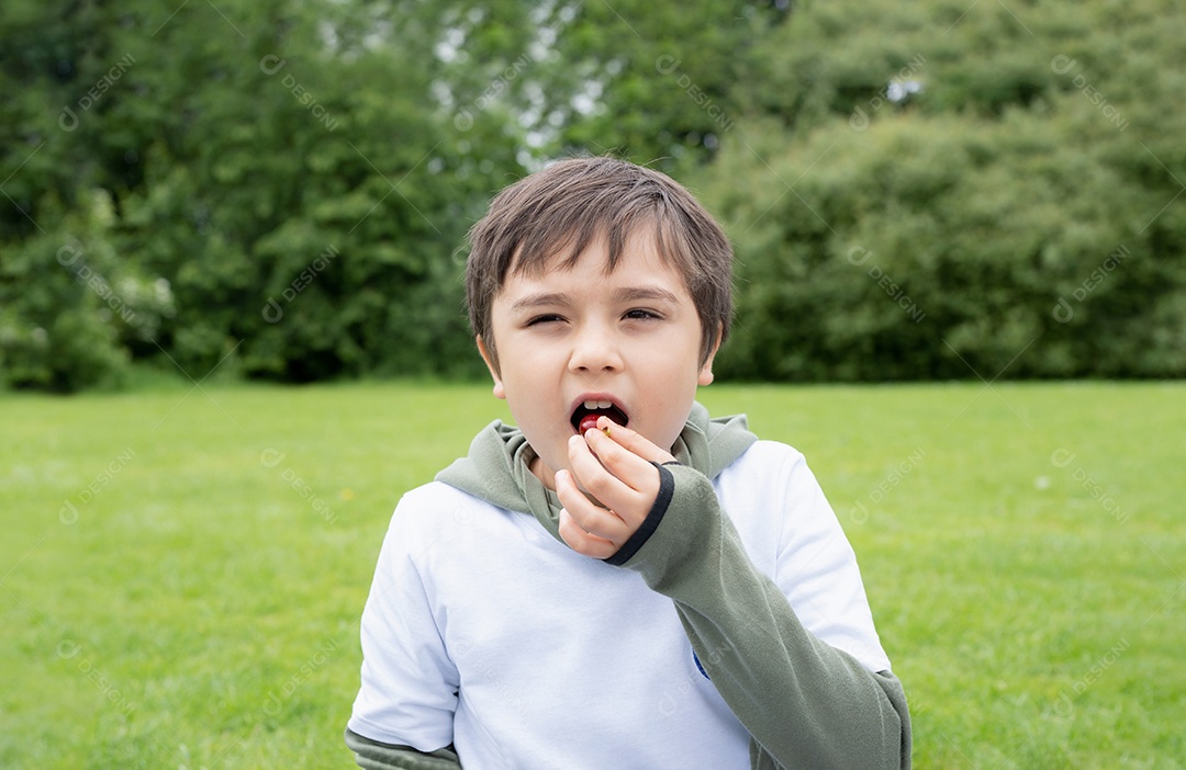 Retrato feliz menino sentado no campo de grama comendo cereja vermelha no parque verde