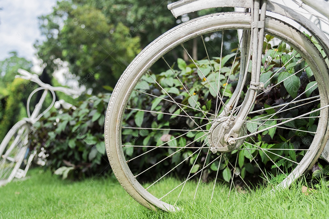 Bicicleta branca no fundo do jardim. Vintage e conceito de natureza.