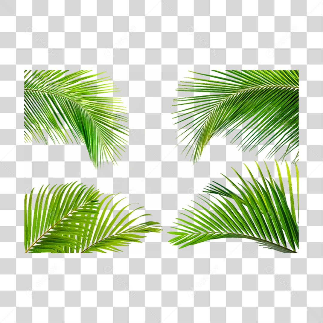 Folhas Verdes Árvores PNG Transparente