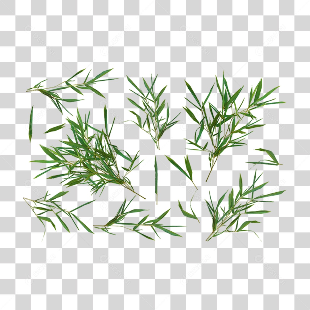 Folhas Verdes Árvores PNG Transparente