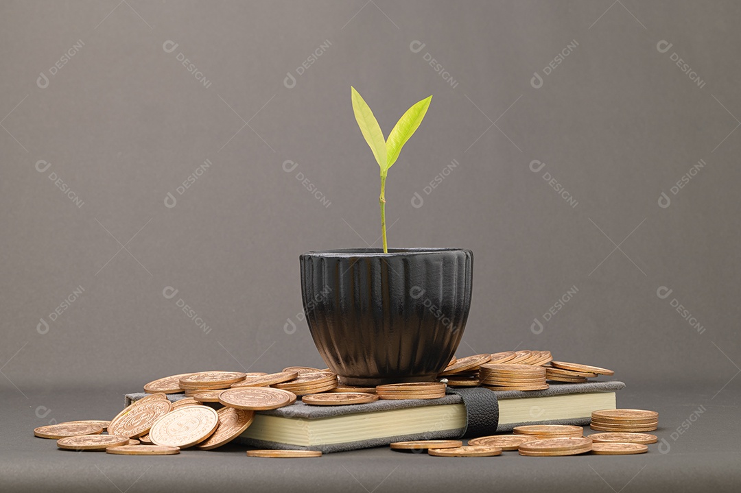 Economize no crescimento da renda de investimentos em ações