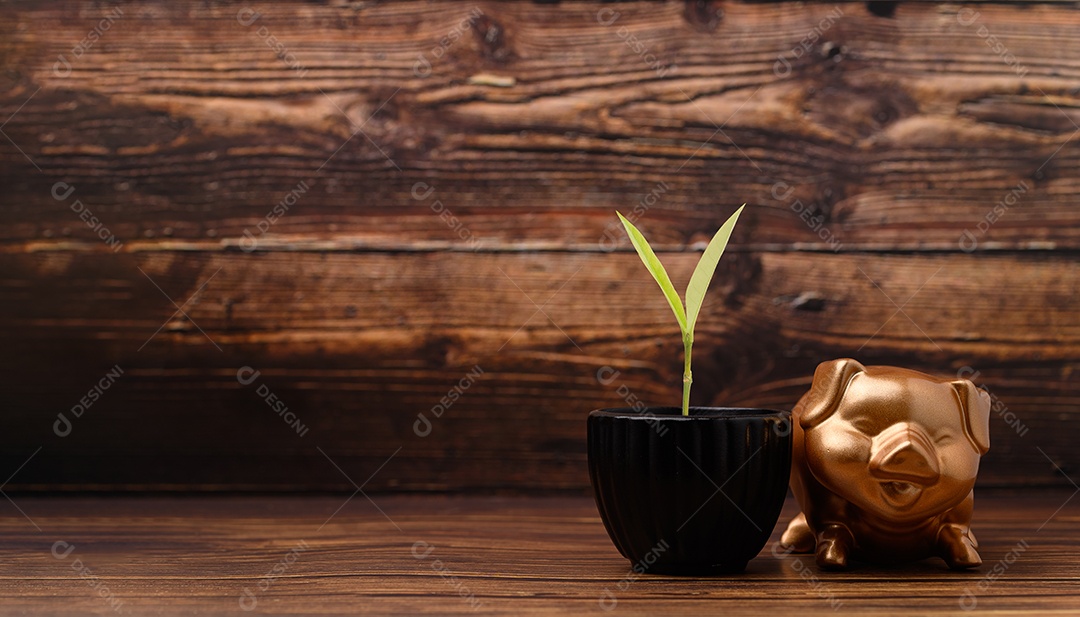 Cofrinho mostrando poupança, renda, investimentos, ações