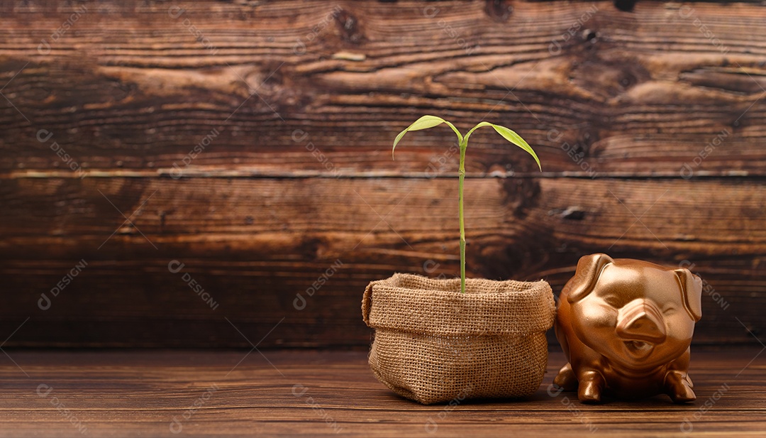 Cofrinho mostrando poupança, renda, investimentos, ações