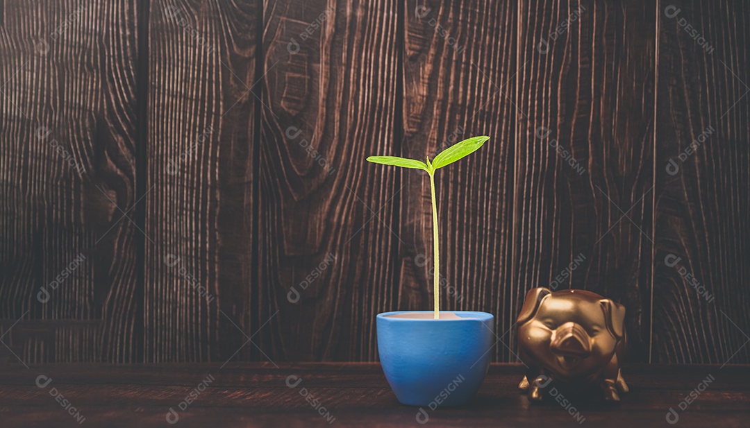 Cofrinho dourado ao lado de vaso de planta