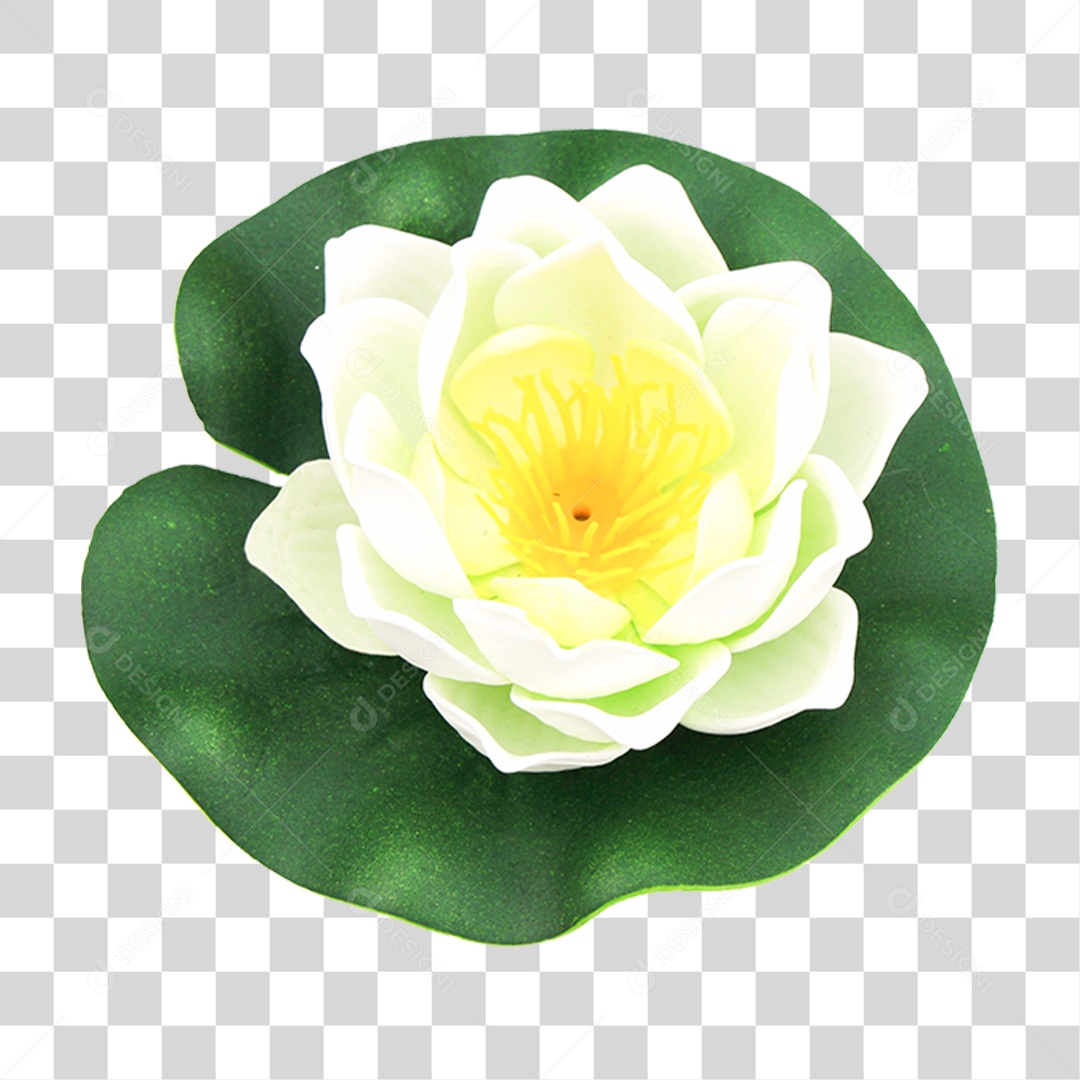 Flor de Lotus PNG Transparente