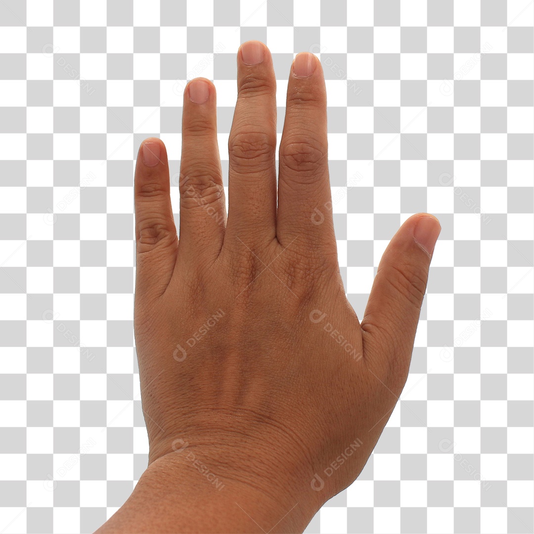 Mão Fazendo Sinais Gestos PNG Transparente