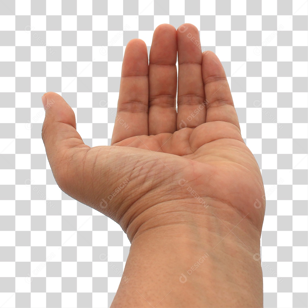 Mão Fazendo Sinais Gestos PNG Transparente