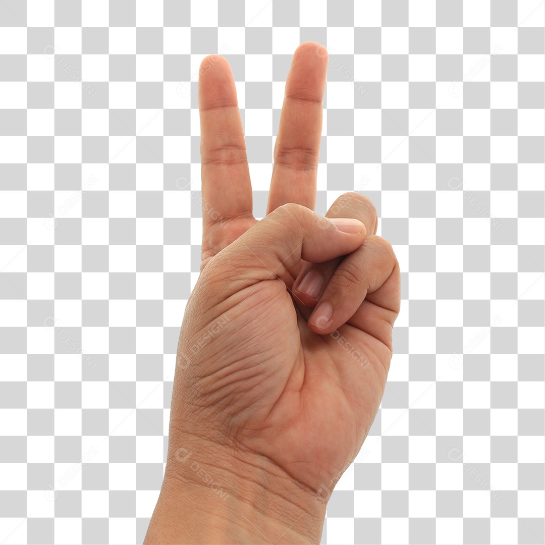 Mão Fazendo Sinais Gestos PNG Transparente