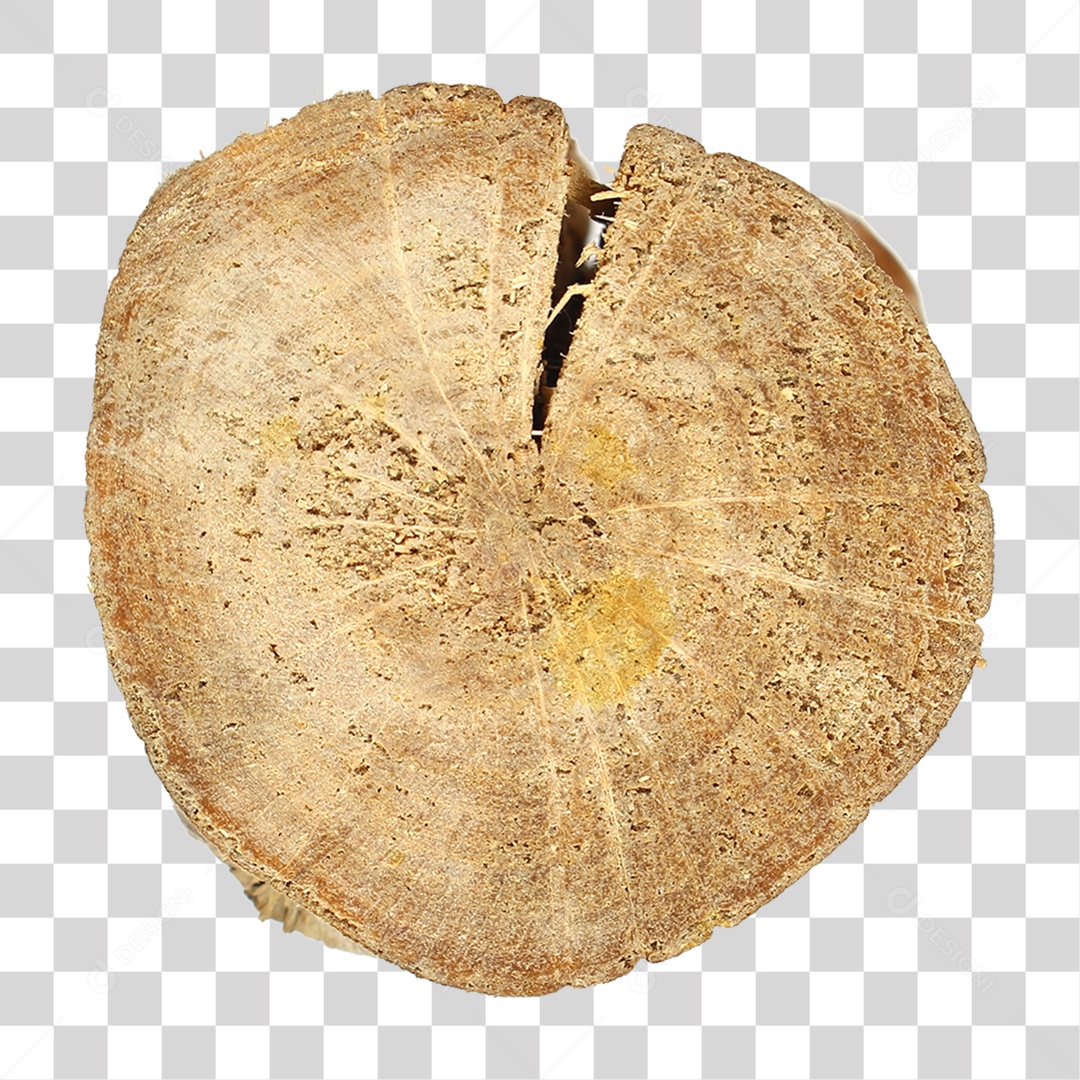 Pedaço de Madeira PNG Transparente