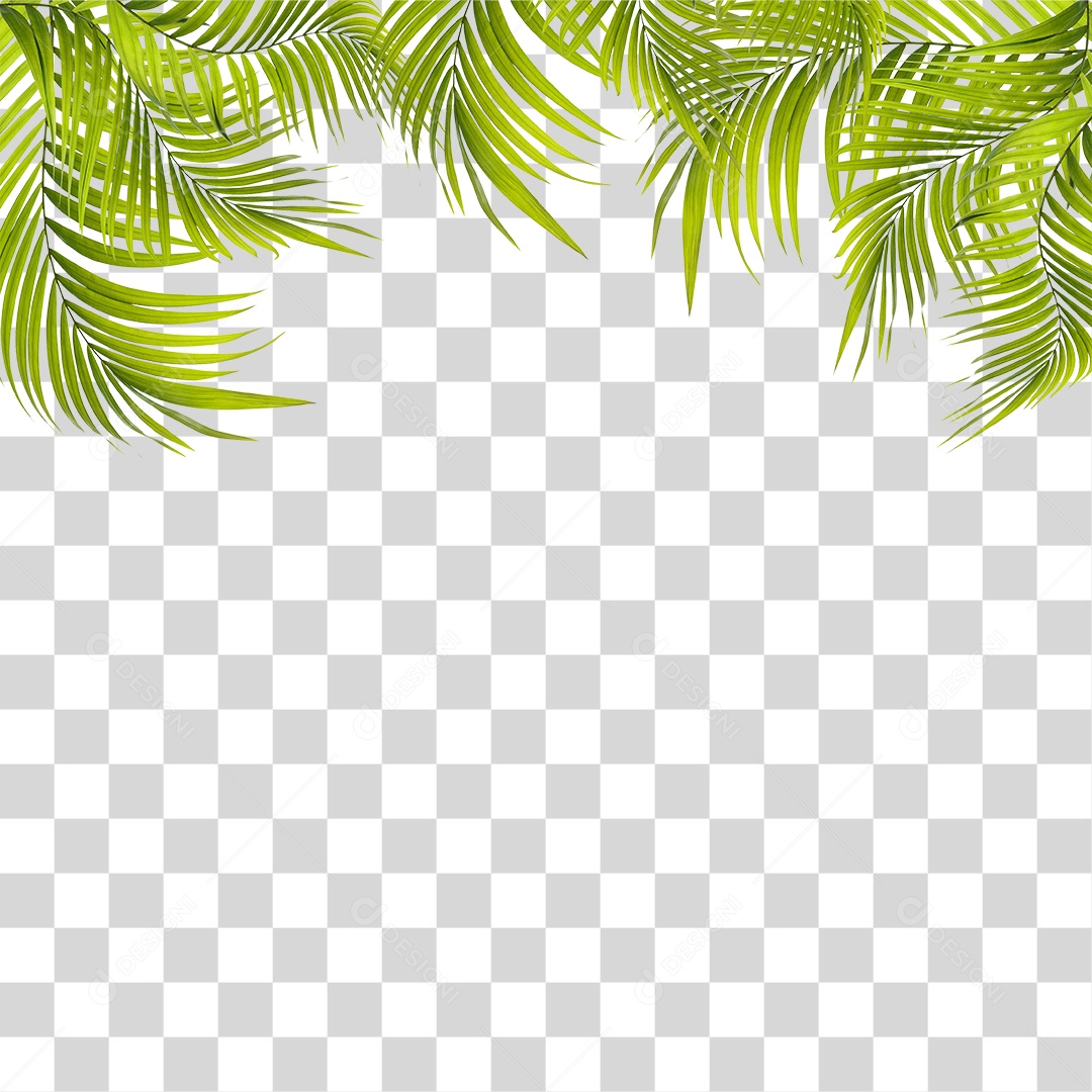 Folha de Palmeira Verde PNG Transparente