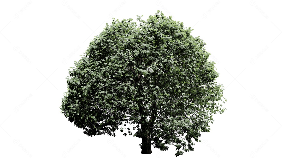 White 3D trees background scene