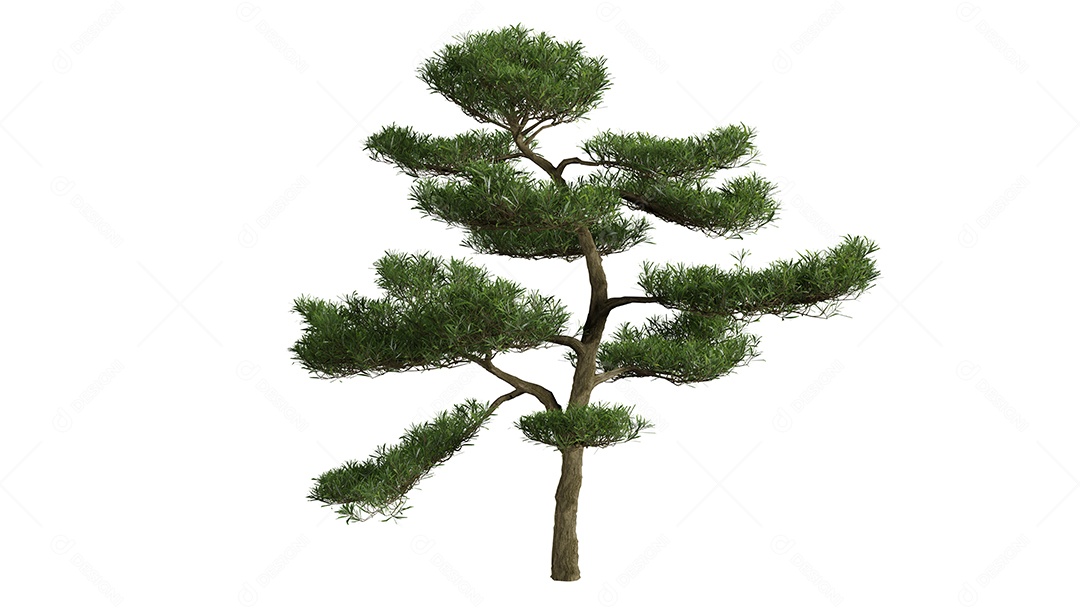 White 3D trees background scene