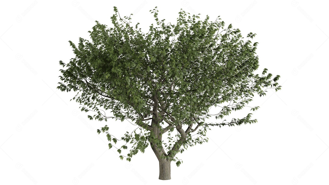 White 3D trees background scene