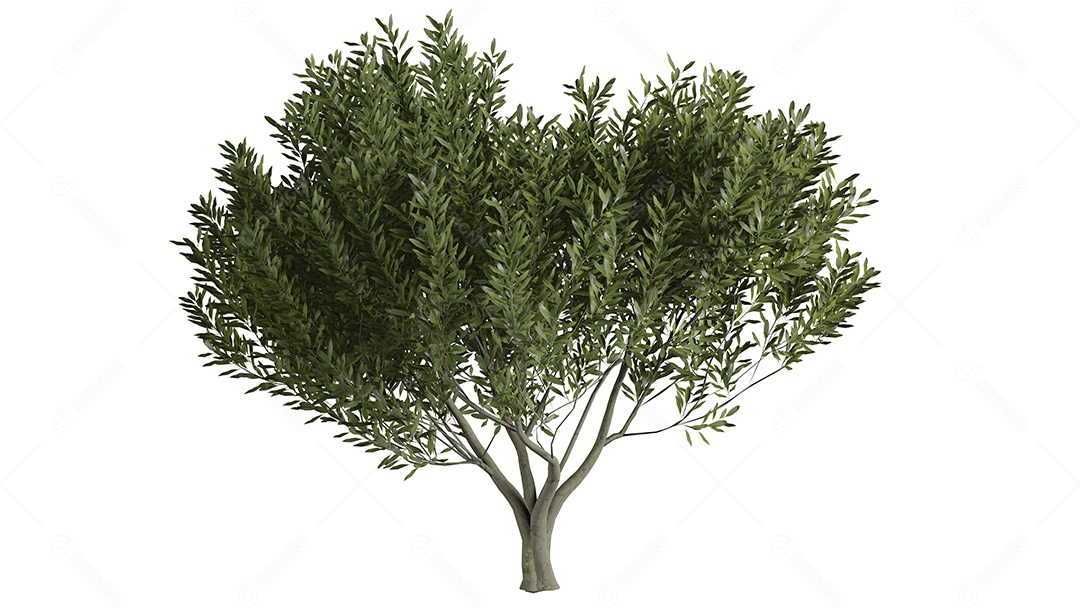 White 3D trees background scene