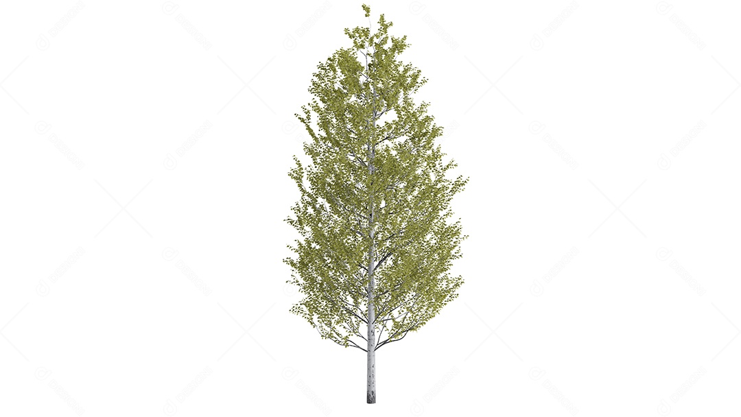 White 3D trees background scene