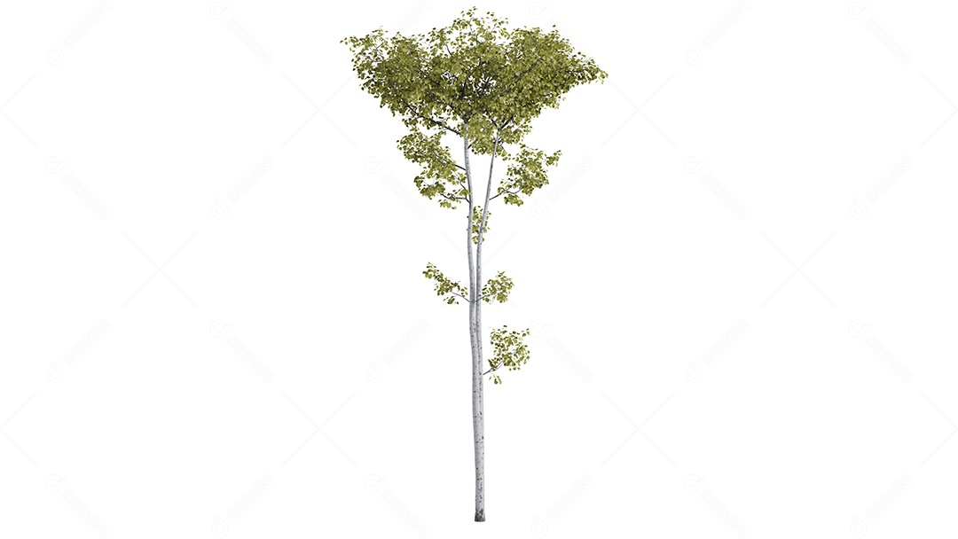 White 3D trees background scene