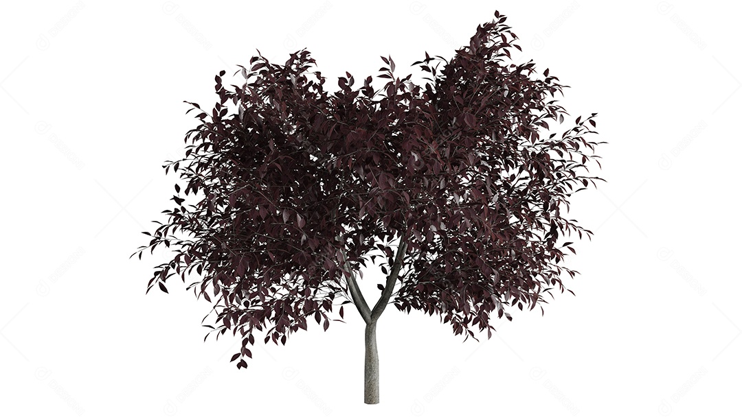 Cena de fundo de árvores 3D branca