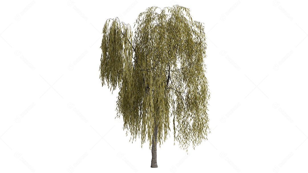 Cena de fundo de árvores 3D branca