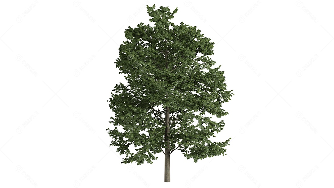 Cena de fundo de árvores 3D branca