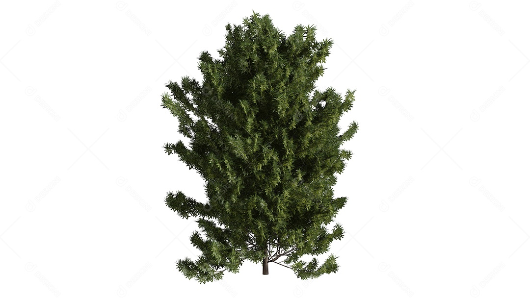 Cena de fundo de rosas 3D branca