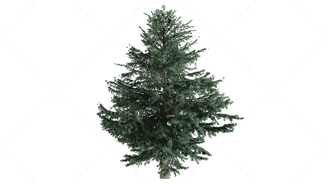 Cena de fundo de rosas 3D branca