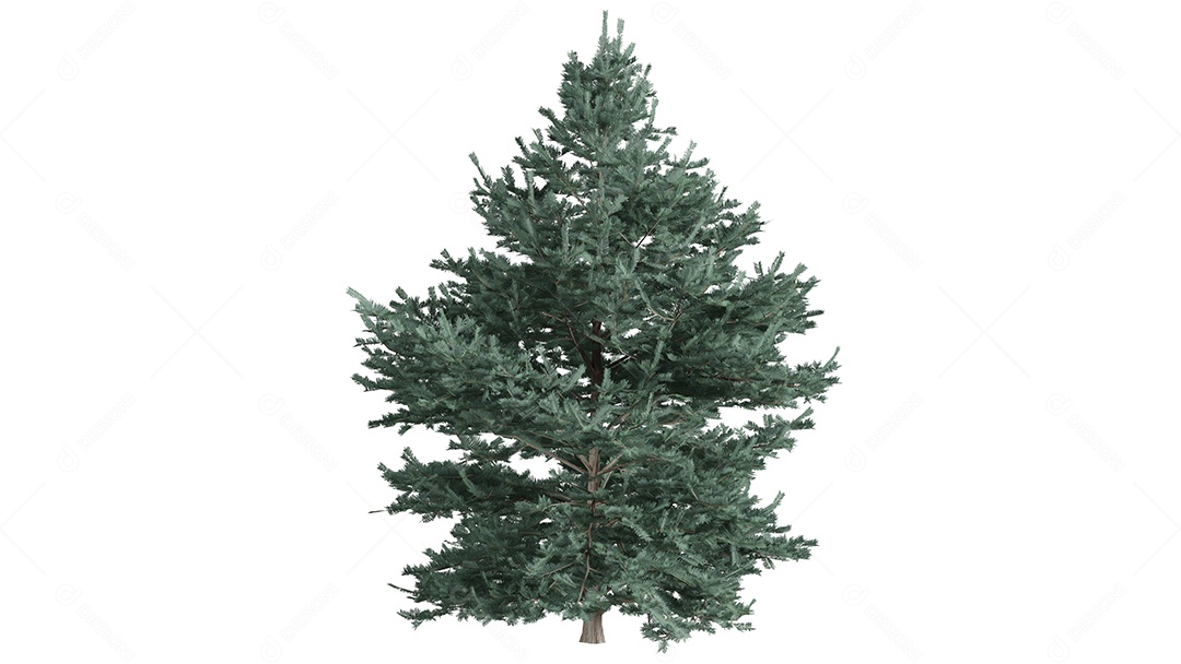 Cena de fundo de rosas 3D branca