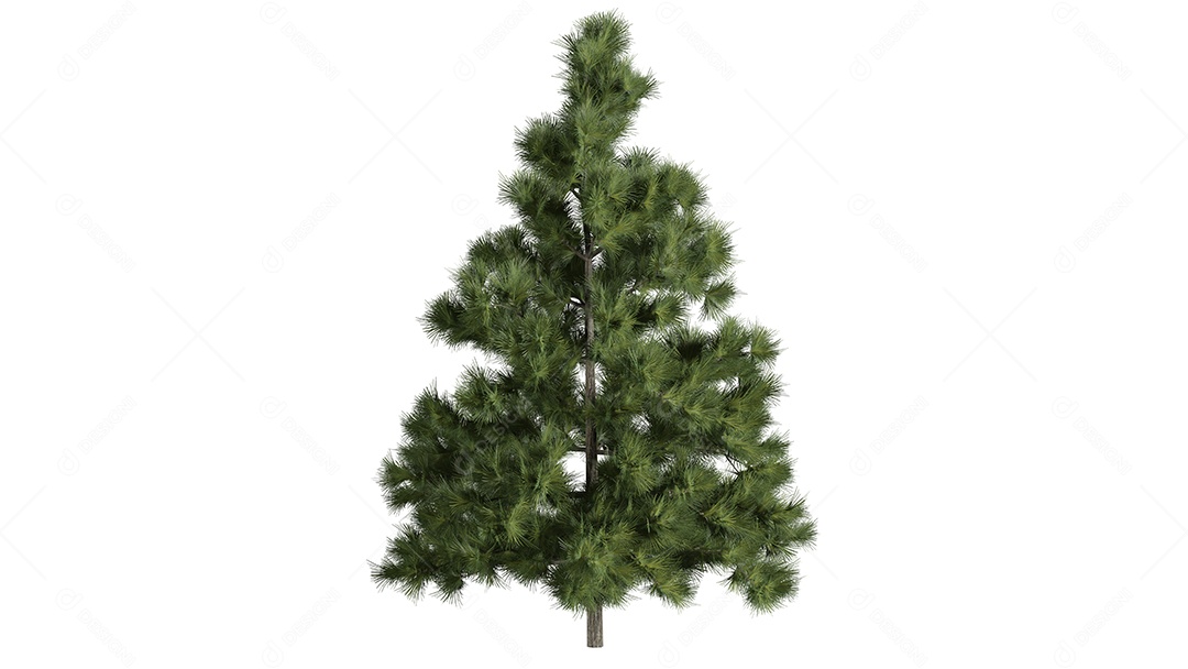 Cena de fundo de rosas 3D branca