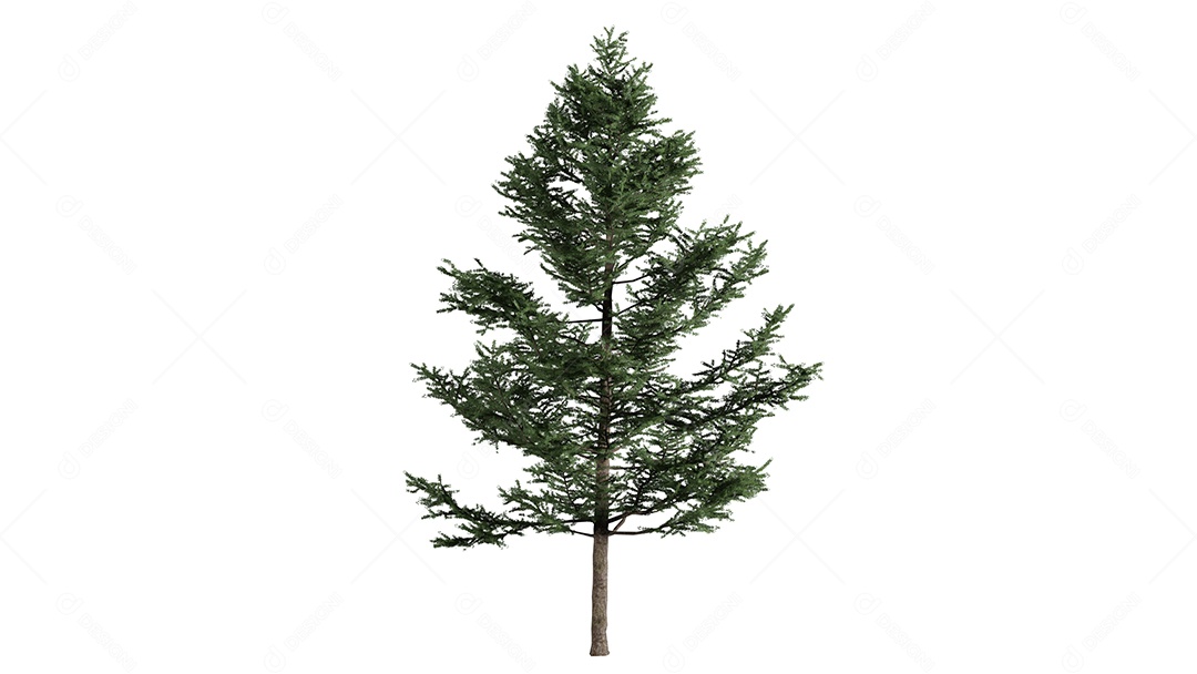 Cena de fundo de rosas 3D branca