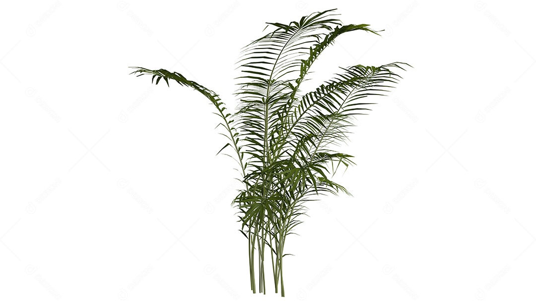 Cena de fundo de rosas 3D branca