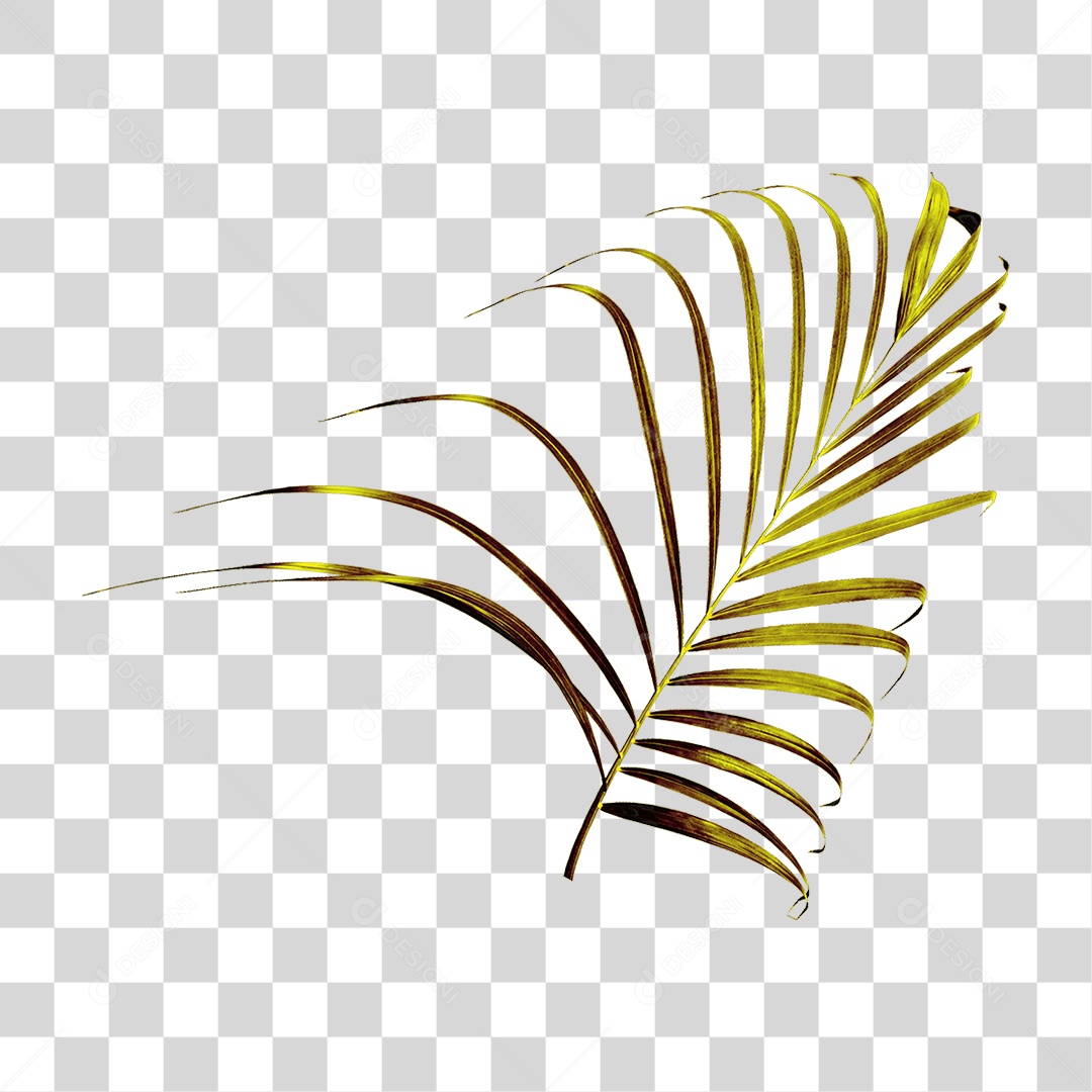 Folha de Palmeira Verde PNG Transparente