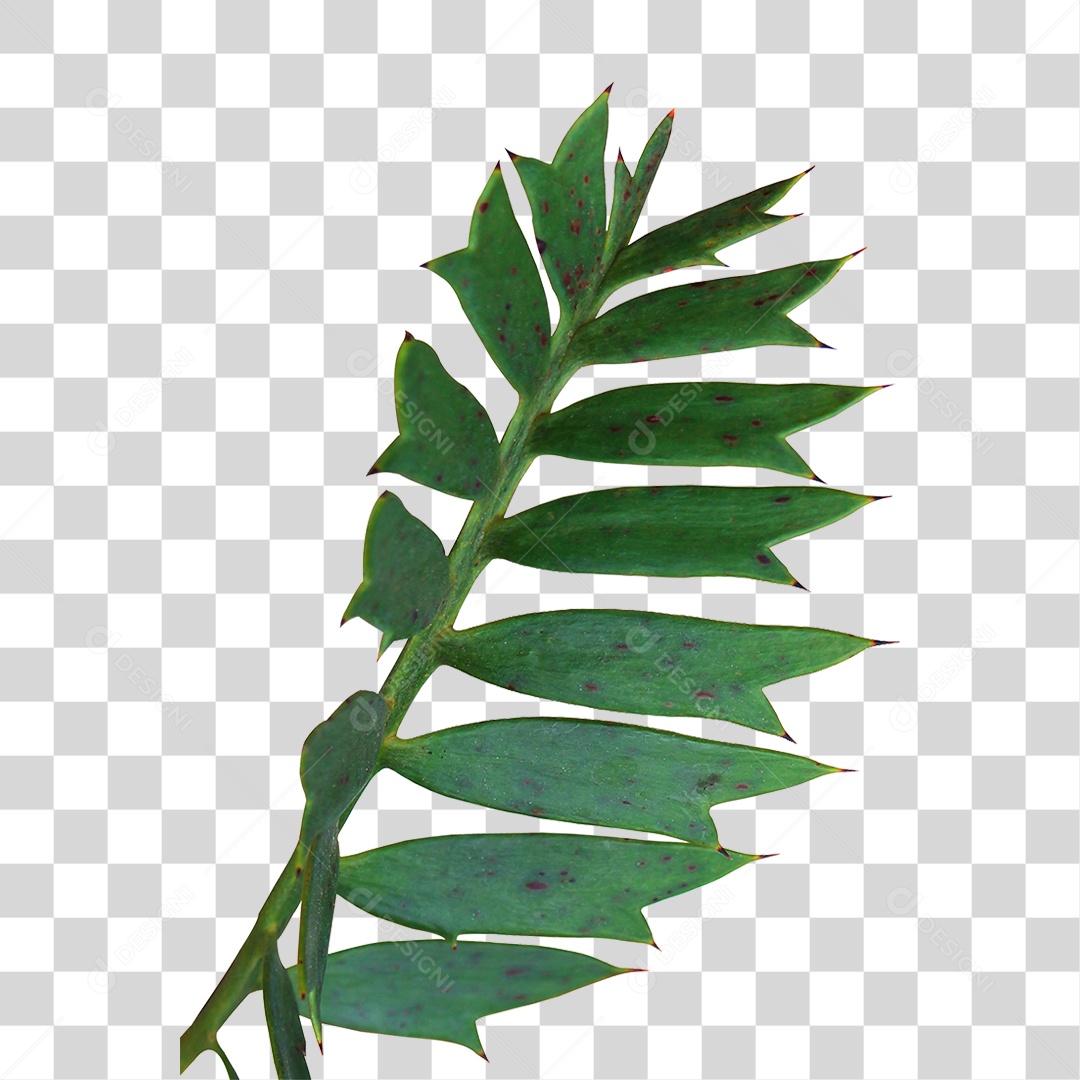 Planta Verde PNG Transparente