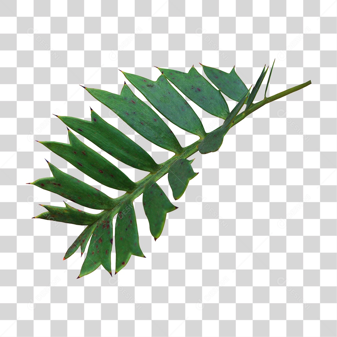 Planta Verde PNG Transparente