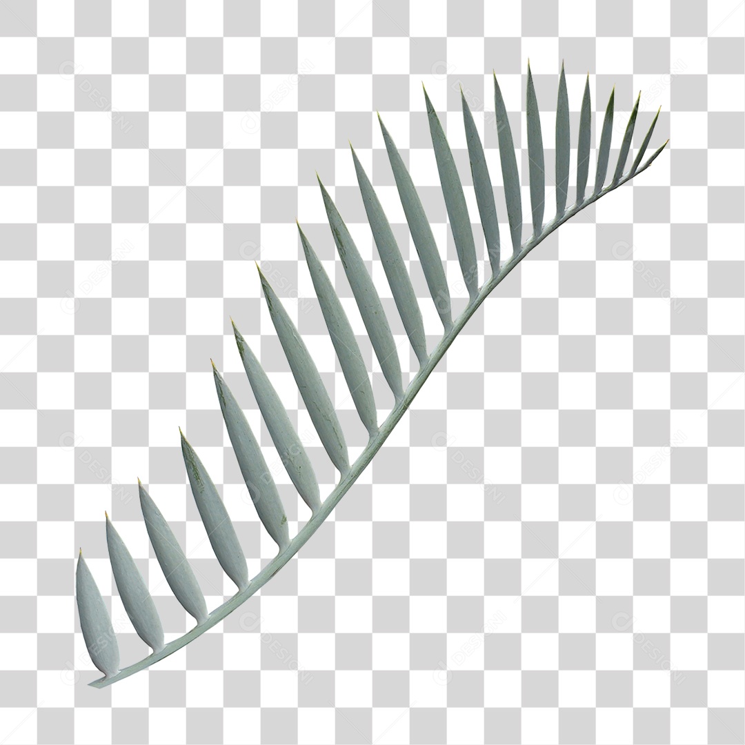 Planta Verde PNG Transparente