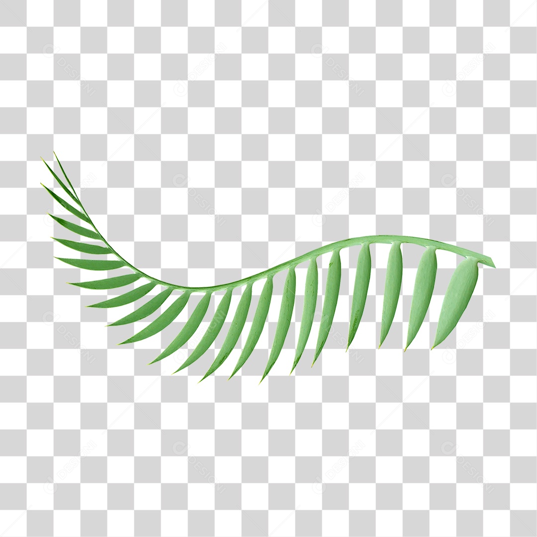 Planta Verde PNG Transparente